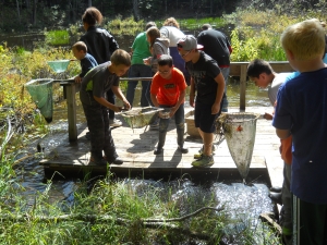 Fifth graders pond dipping from a dock