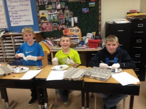 Dissecting owl pellets with Mrs. Rupprecht